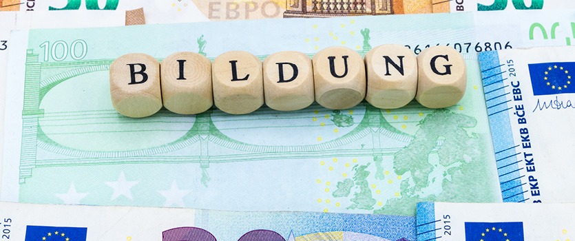 Holzwürfel bilden das Wort Bildung und liegen auf Euro-Geldscheinen